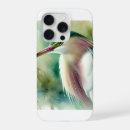 Search for heron iphone cases Great blue heron