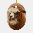 Search for alpaca christmas decor Animals