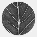 Search for black and white art stickers Photography