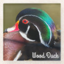 Search for bird watcher barware Nature