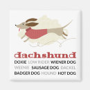 Search for dachshund magnets Dackel