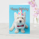 Search for funny family card cards Celebration