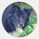 Search for with a smile stickers For her