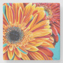 Search for petal coasters Blooms