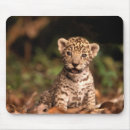 Search for leopard mousepads Cute