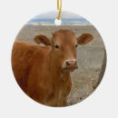 Search for cute cow christmas tree decorations Cowgirl