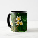 Search for frangipani mugs Tropical