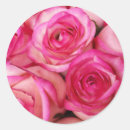 Search for fire and ice stickers Pink