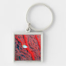 Search for wild fish key rings Sea
