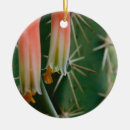 Search for macro christmas tree decorations Bloom