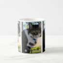 Search for pretty kitty mugs Animals