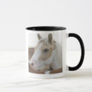 Search for pictures of horses mugs Pony