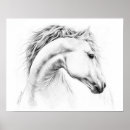Search for drawing horse posters Equine