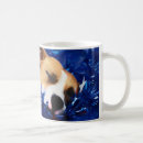 Search for pit bull terrier mugs Puppy