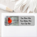 Search for bird on a branch return address labels Birding