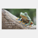 Search for frog stickers colourful