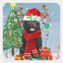 Search for newfoundland dog stickers Animals
