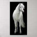 Search for mustang horses posters Cowgirl