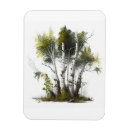 Search for birch tree magnets Nature