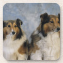 Search for loyalty coasters Friendship