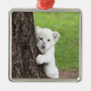Search for cub christmas tree decorations Wildlife