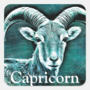 Search for capricorn square stickers Birthday