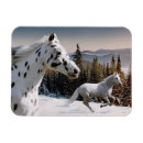 Search for winter horse cards Running