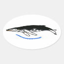 Search for humpback whale stickers Wildlife
