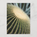 Search for alo postcards Desert