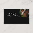 Search for horse business cards Professional