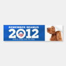 Search for mitt romney bumper stickers Dog