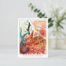 Search for echinoderms postcards Starfish