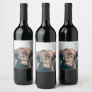 Search for cow wine labels Animal