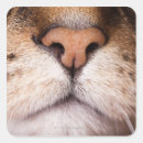 Search for body image stickers Horizontal