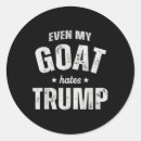 Search for anti men stickers Let's go brandon