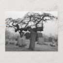 Search for cemeteries postcards Grave