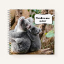 Search for koala notebooks Funny