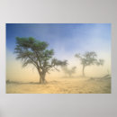 Search for kalahari posters Desert