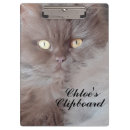 Search for cat clipboards Pet