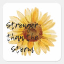Search for stronger stickers Resilience