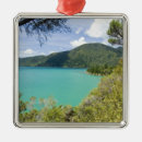 Search for sound christmas tree decorations Sea
