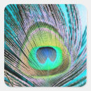 Search for peacock feather stickers Bird
