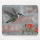 Search for ruby throated mousepads Hummingbirds