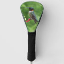 Search for hummingbird golf head covers Wildlife