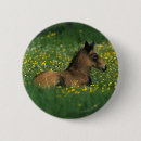 Search for lying down badges Equestrian