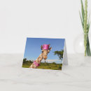 Search for africa note cards Animal
