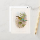 Search for bee illustration postcards Animal