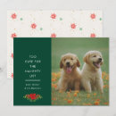 Search for funny dog quotes cards Minimal