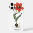 Search for tulip garden iphone cases Tulips
