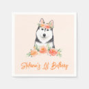 Search for white siberian husky Birthday
